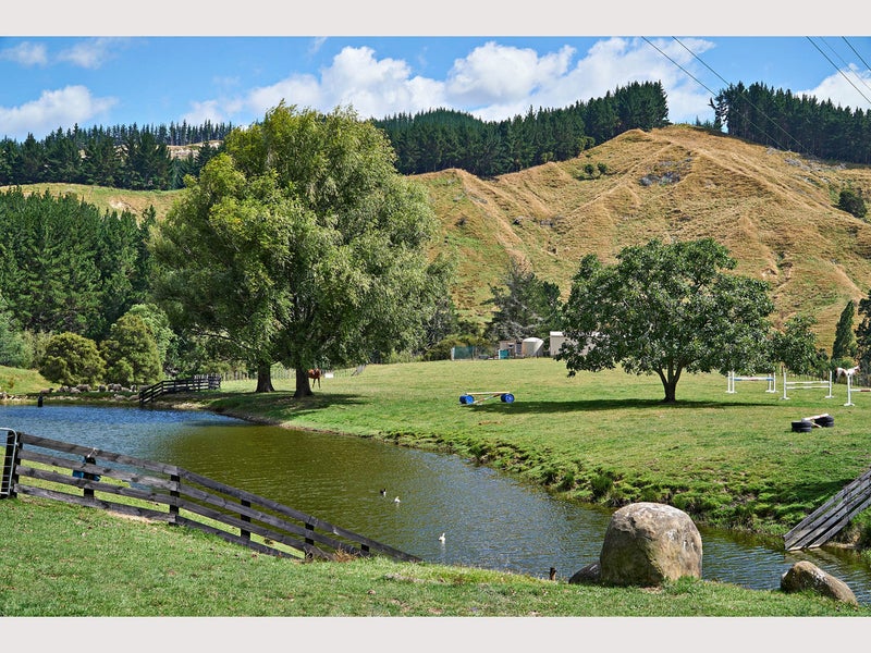 921 Ngakoroa Road, Ormond - Carousel 2