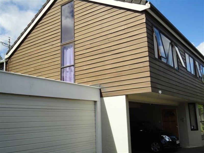 44A The Drive, Epsom, Auckland - Carousel 16