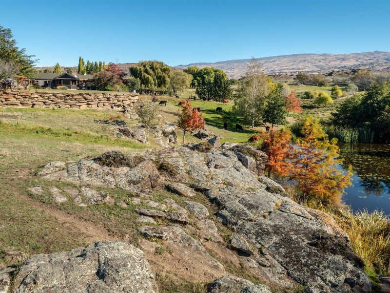 196 Chapman Road, Earnscleugh, Alexandra - Carousel 2