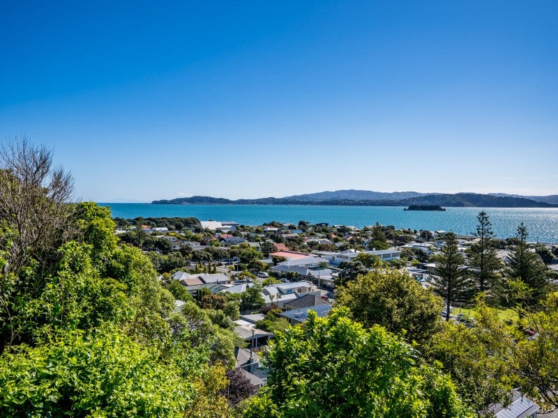 2 MacKenzie Road, Eastbourne, Lower Hutt - Carousel 2