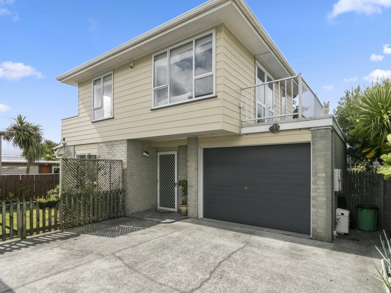 2A Oriental Street, Petone, Lower Hutt - Carousel 1