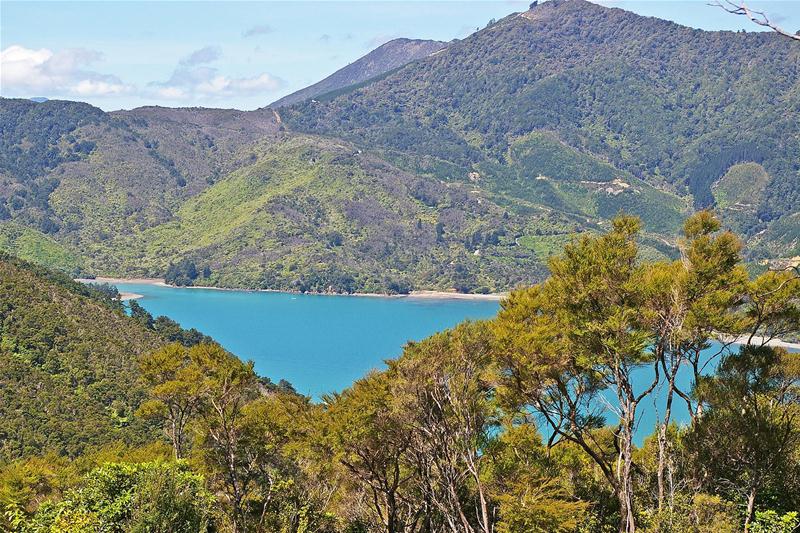 0 Whangarae Croiselles, Okiwi Bay, Marlborough - Carousel 4