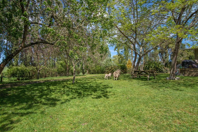 165 Halcrow Road, Reporoa - Carousel 2