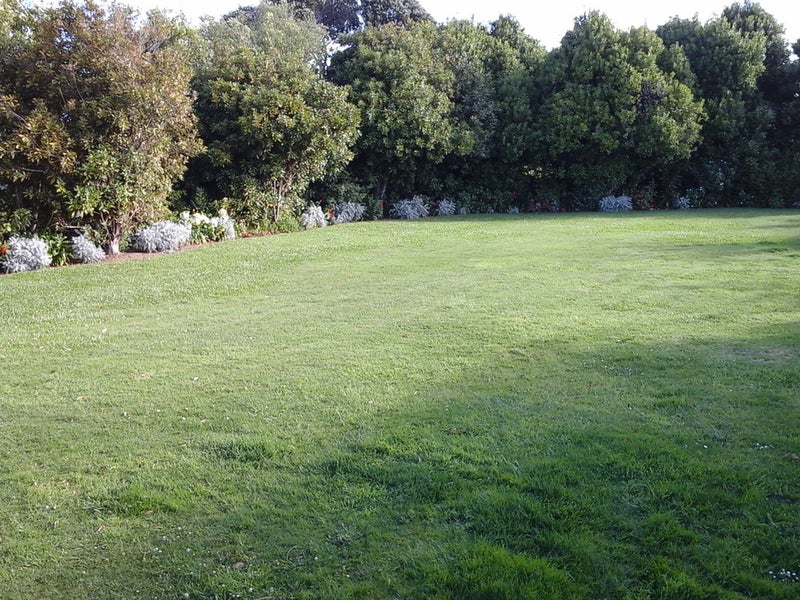 9 Walker Terrace, Te Kōpuru - Carousel 23