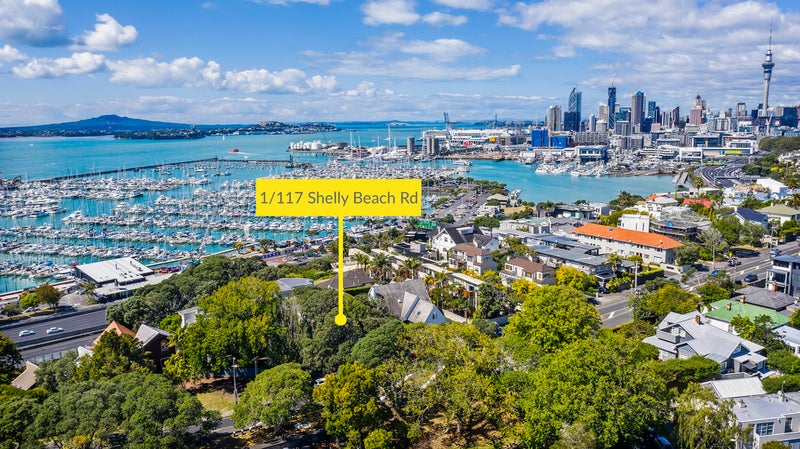 1/117 Shelly Beach Road, Ponsonby, Auckland - Carousel 2