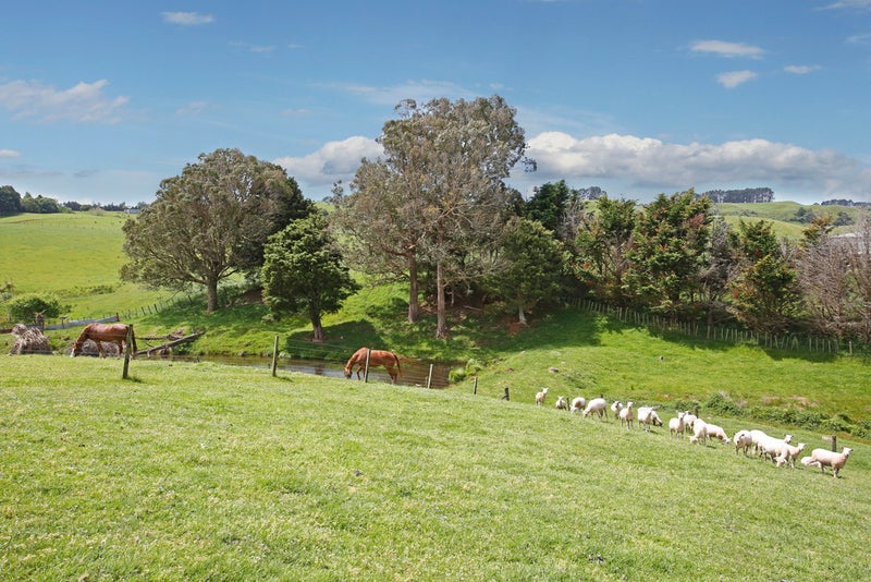 198 Wairamarama Onewhero Road, Onewhero - Carousel 1