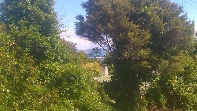 68 Pacific Parade, Surfdale, Waiheke Island - Carousel 2