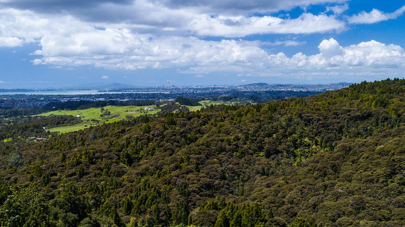 118 Opanuku Road, Henderson Valley, Auckland - Carousel 6