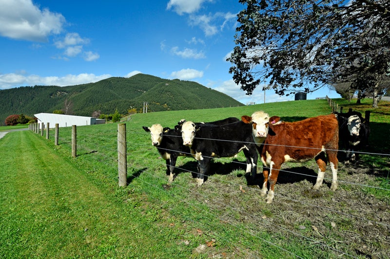 330 Aniseed Valley Road, Aniseed Valley, Richmond - Carousel 2