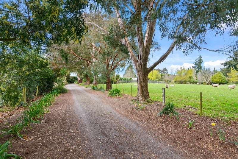 82 Boundary Road, Ashley, Rangiora - Carousel 19