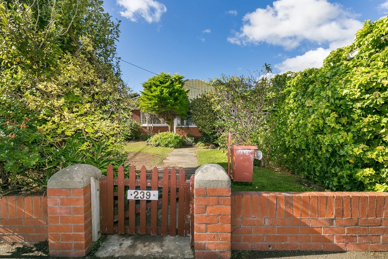 239 Rintoul Street, Berhampore, Wellington - Carousel 20