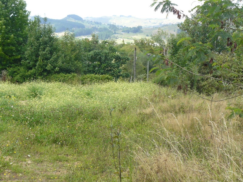 61 Mangarino Street, Te Kūiti - Carousel 2