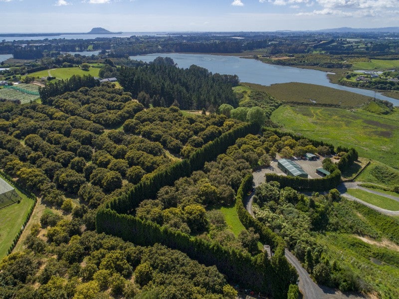 56G Plummers Point Road, Tauranga - Carousel 1