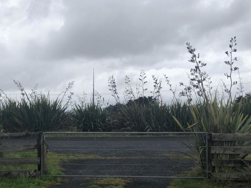 65 Paetai Road, Huntly - Carousel 2