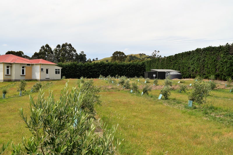 836B State Highway 2, Ōpaki - Carousel 2