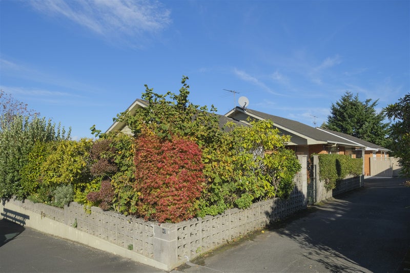 91 Newington Avenue, Maori Hill, Dunedin - Carousel 19