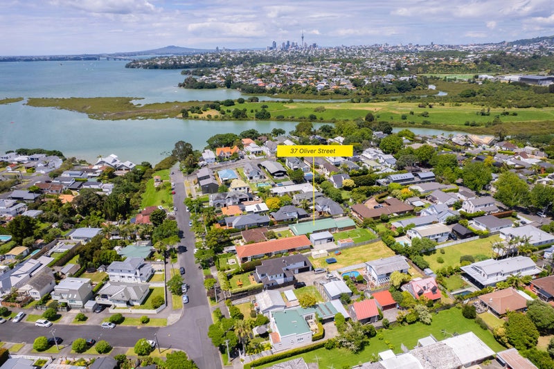 37 Oliver Street, Point Chevalier, Auckland - Carousel 21
