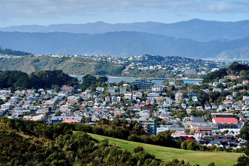 24 Havelock Street, Mornington, Wellington - Carousel 2