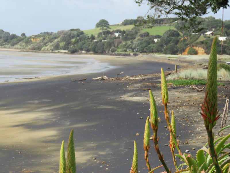 296 Big Bay Road, Manukau Heads, Āwhitu - Carousel 10