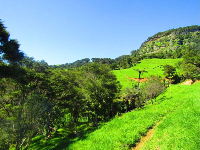 0 Kihi Road, Hauturu, Oparau - Carousel 2