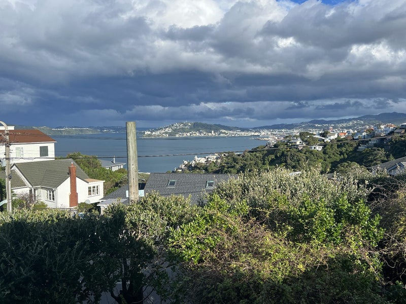 1 Mandalay Terrace, Khandallah, Wellington - Carousel 19