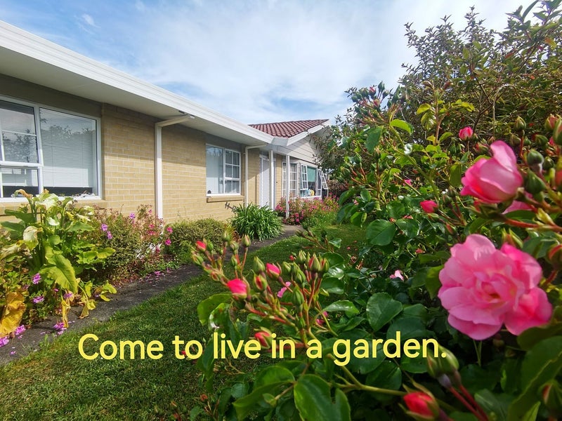 3 Delisle Place, Windsor Park, Auckland - Carousel 1