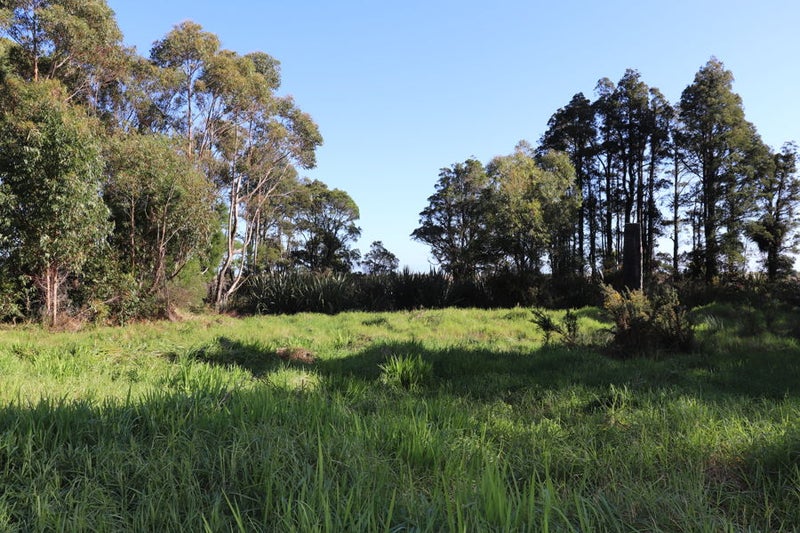 4486 Karamea HWY, Karamea, Buller  - Carousel 20
