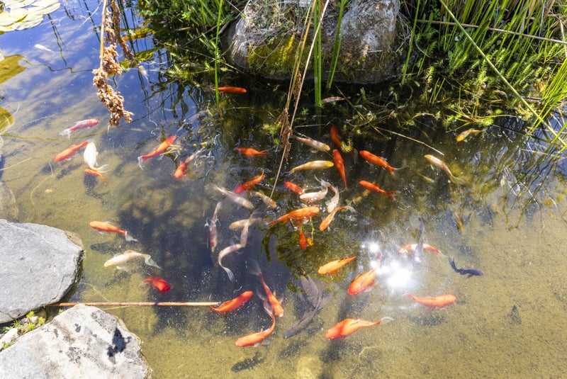 70A Kirton Drive, Riverstone Terraces, Upper Hutt - Carousel 18