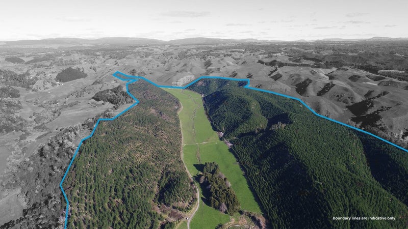 280 Mystery Valley Road, Te Puke - Carousel 2