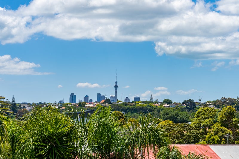 239B Meola Road, Point Chevalier, Auckland - Carousel 2