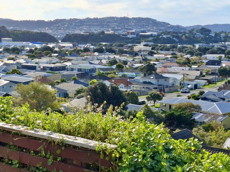 14 Madison Place, Miramar, Wellington - Carousel 1