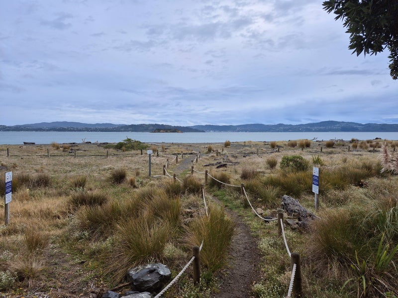 34 Tuatoru Street, Eastbourne, Lower Hutt - Carousel 1