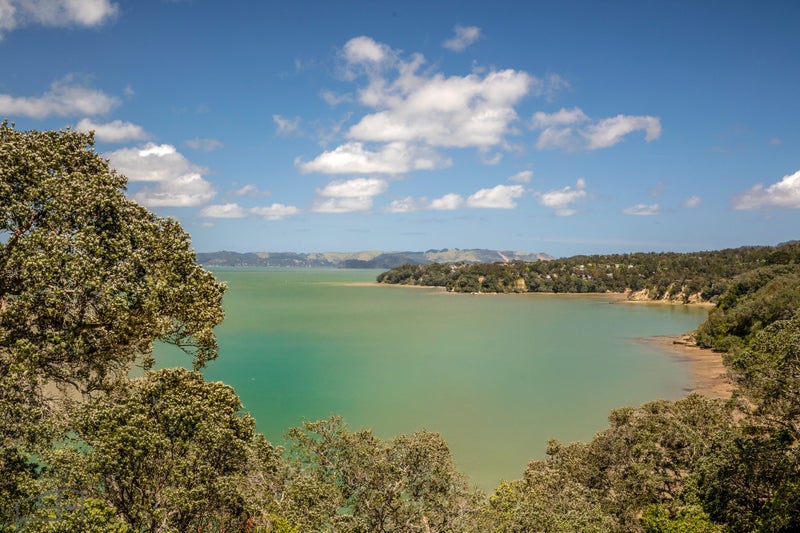 38 Cliff View Drive, Green Bay, Auckland - Carousel 2