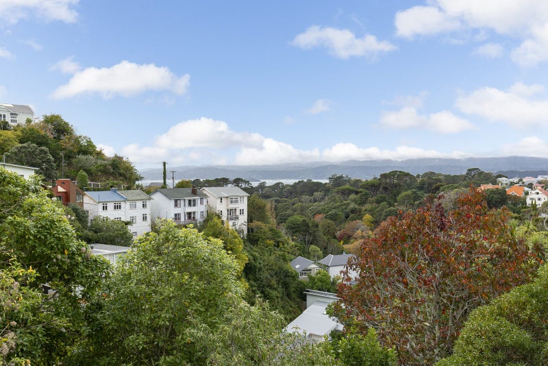 21B Crieff Street, Northland, Wellington - Carousel 2