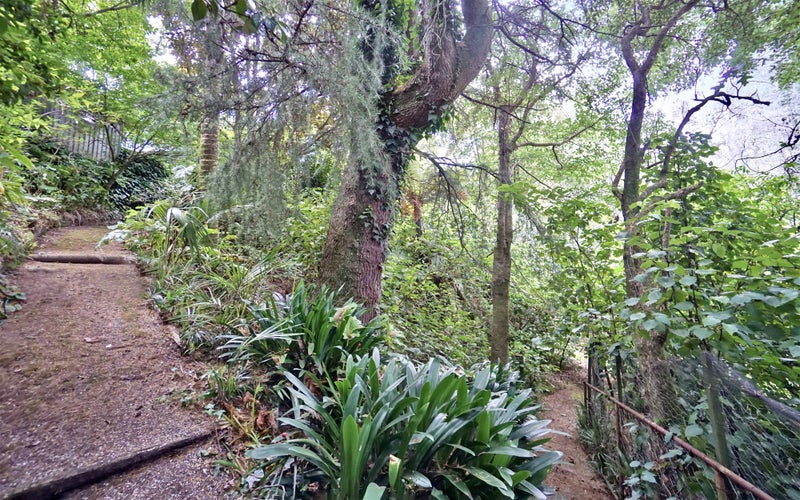 14 Nettlingham Place, Te Puke - Carousel 22