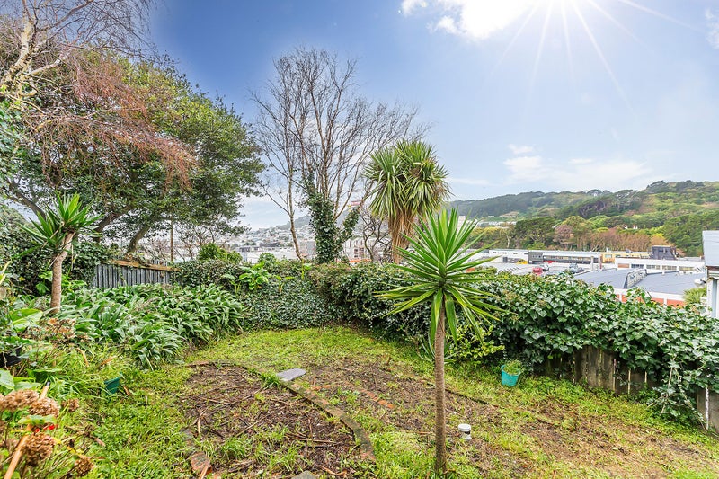 40 Drummond Street, Mount Cook, Wellington - Carousel 12