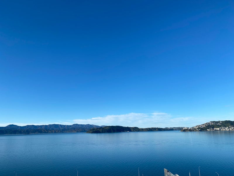 1 Rangiora Avenue, Kaiwharawhara, Wellington - Carousel 7