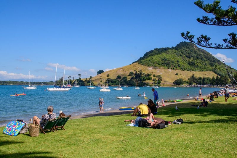 2/3 Puriri Street, Mount Maunganui, Mount Maunganui - Carousel 21