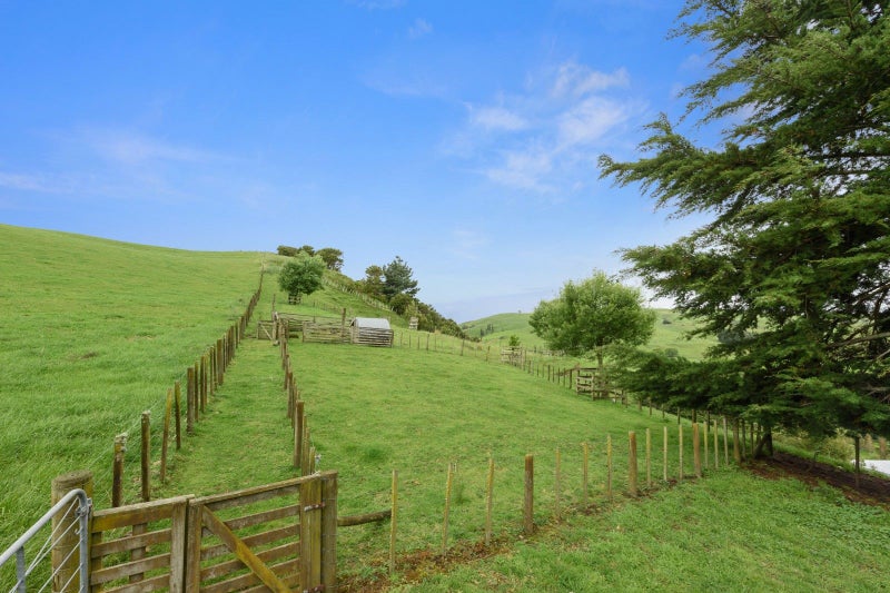 386 Whitehall Road, Karapiro - Carousel 36