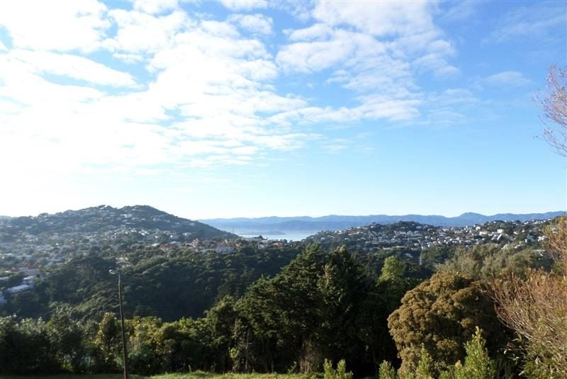 42 Winston Street, Crofton Downs, Wellington - Carousel 2