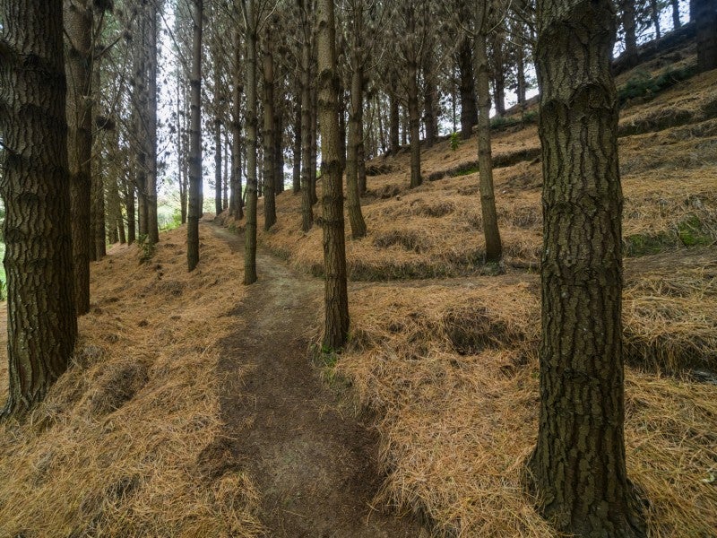 58 County Heights Drive, Palmerston North - Carousel 26