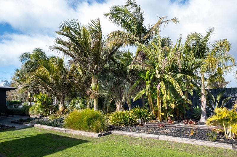 245 Riverbend Road, Meeanee, Napier - Carousel 2