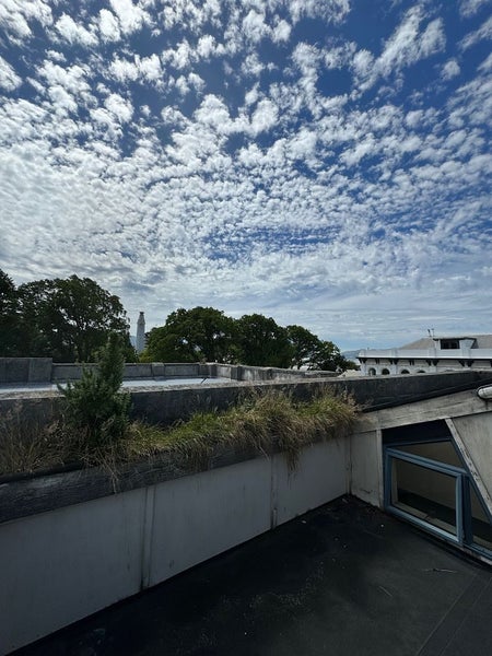8 Vogel Street, Dunedin Central, Dunedin - Carousel 2
