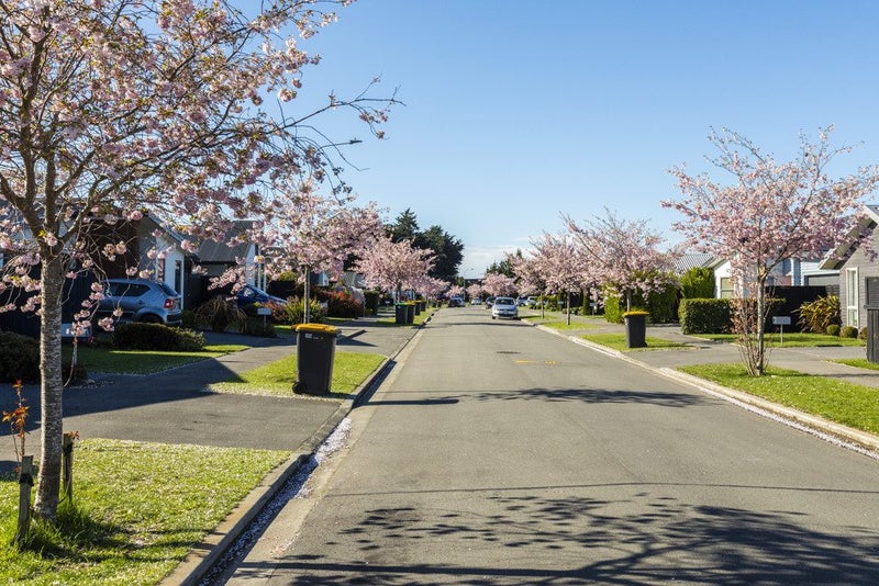 3 Robert Duncan Road, Belfast, Christchurch - Carousel 19