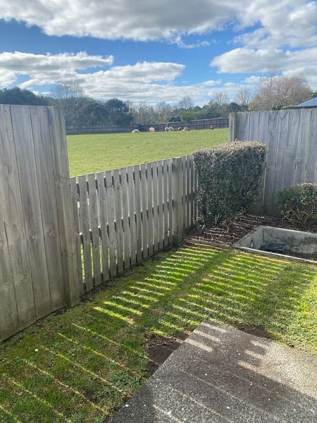 8B Mistry Place, Harrowfield, Hamilton - Carousel 2