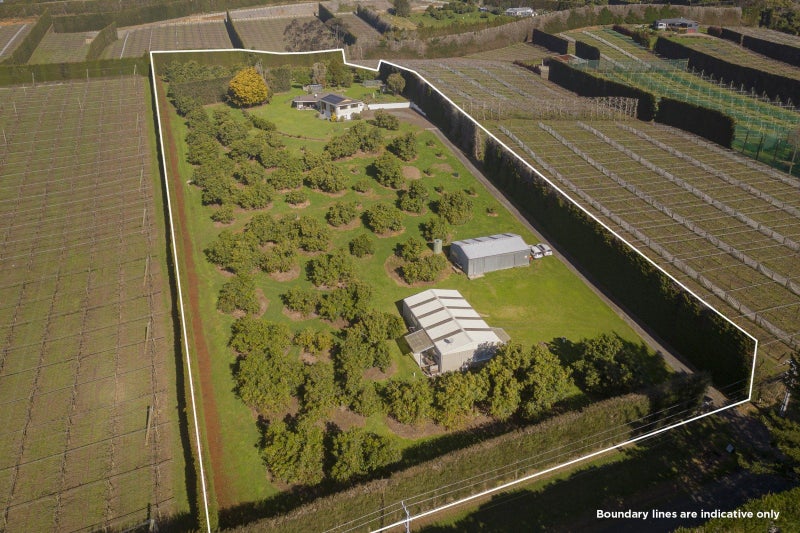 210 Tuapiro Road, Tahawai - Carousel 36