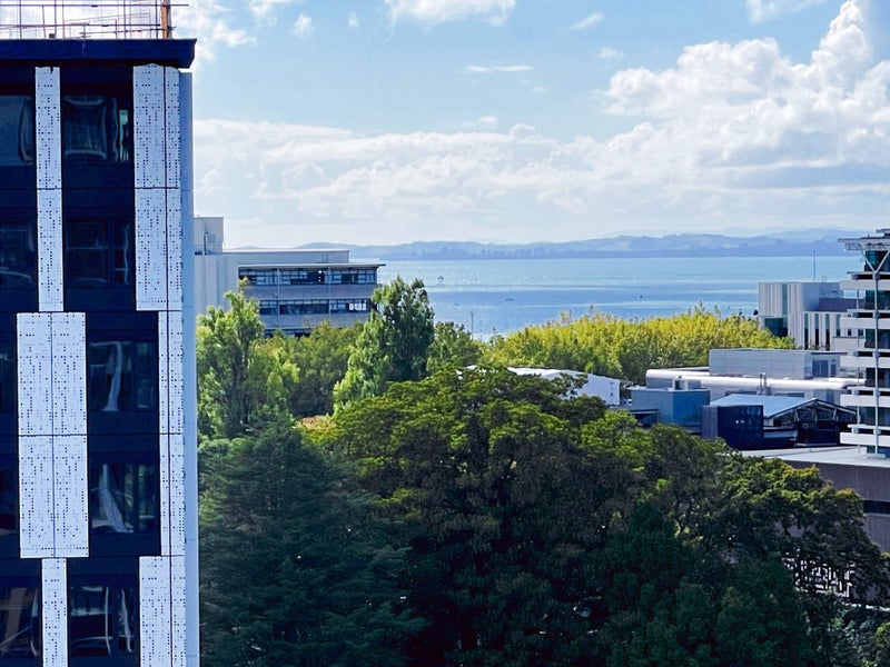 1605/8 Airedale Street, Auckland Central, Auckland - Carousel 1