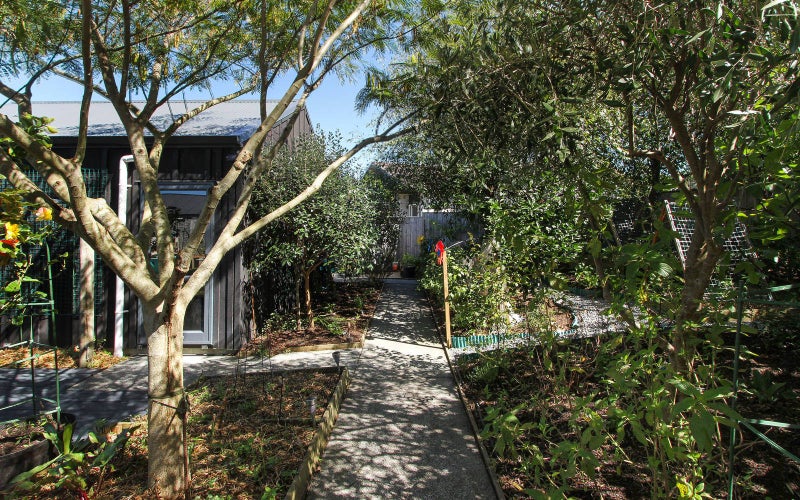 14 Magnolia Lane, Helensville - Carousel 23