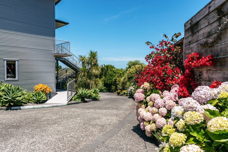 6/136 Ocean View Road, Waiheke Island, Auckland - Carousel 2