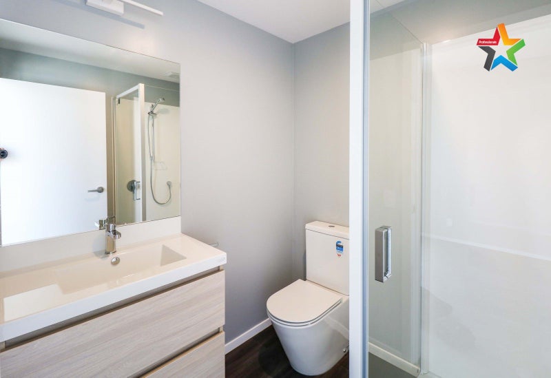 1/40A Dudley Street, Hutt Central, Lower Hutt - Carousel 15